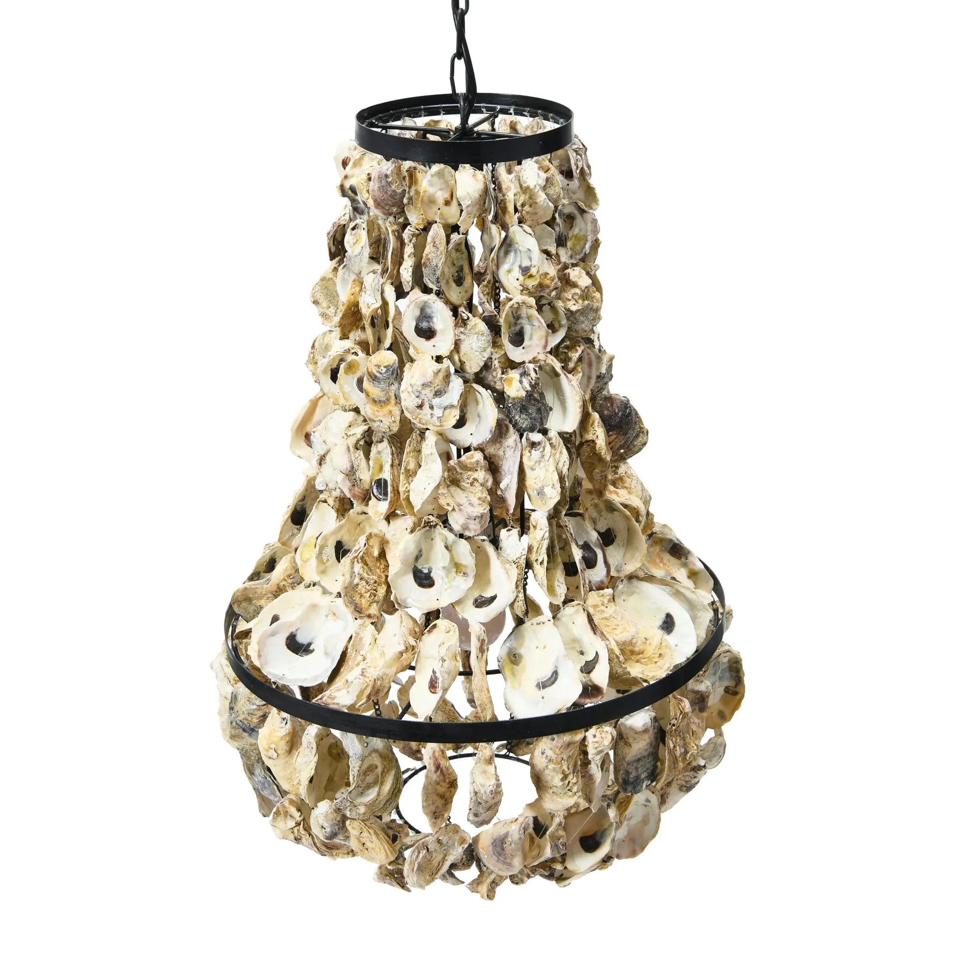 Metal and Draped Oyster Shell Chandelier, Black and Natural